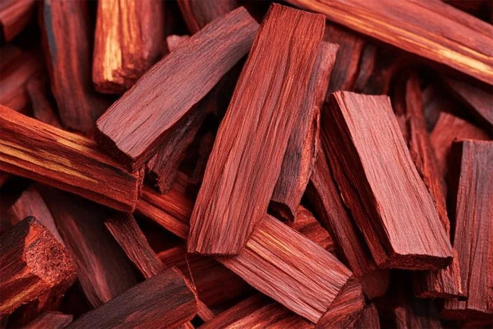 Rare Red Sandalwood plant / Lal Chandan Plant