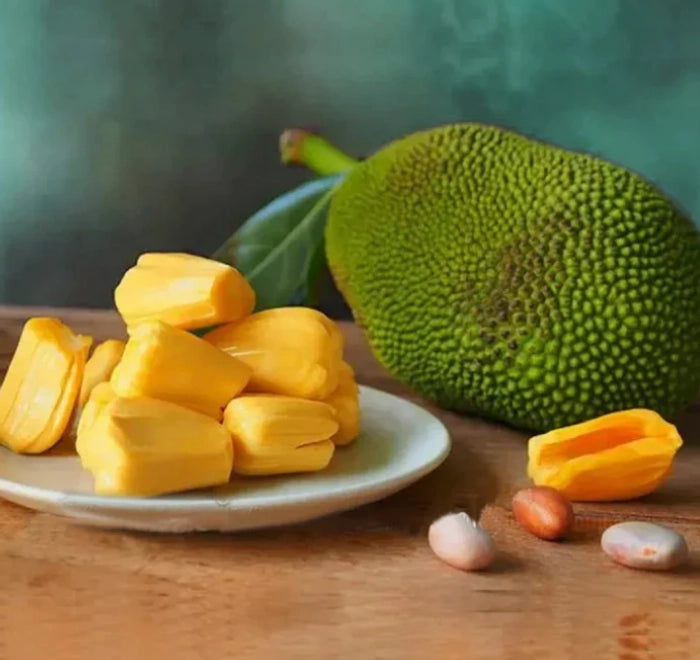 Vietnam Super Early Jack Fruit Plants