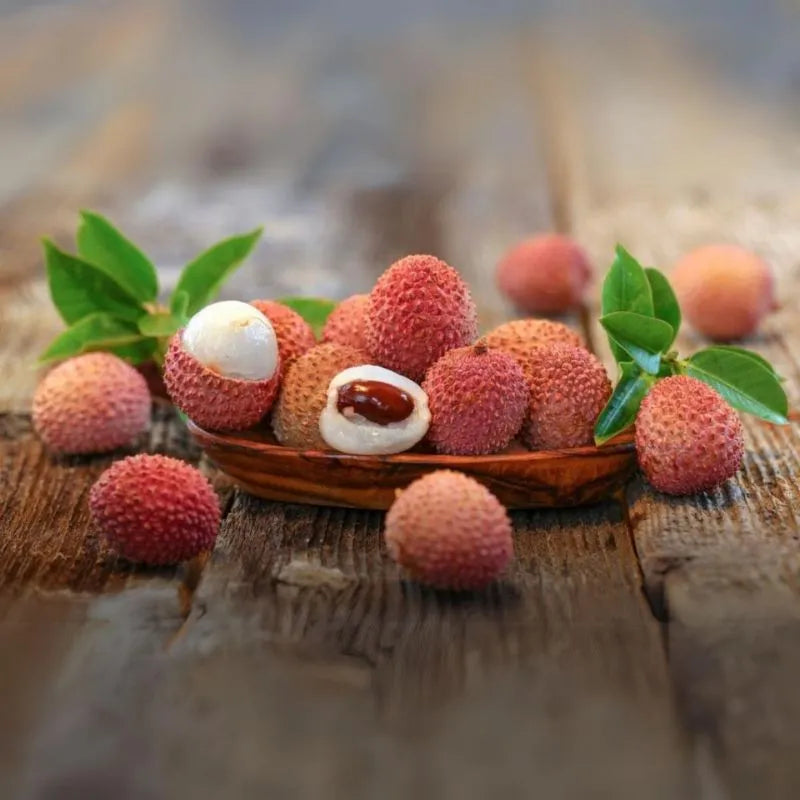 Litchi Fruit Plant (Air Layered)