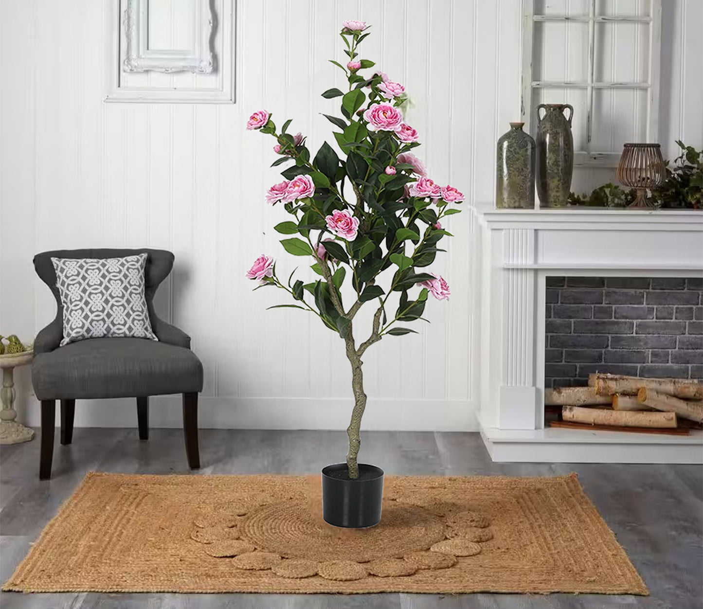 Camellia Flower Plant