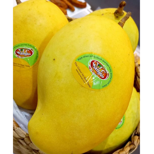 TJC Mango
