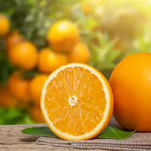 SWEET CHINESE ORANGE FRUIT PLANTS – Haven plant