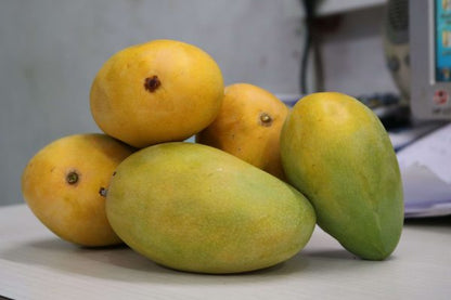 KOTHAPALLI KOBBARI MANGO PLNTS( Grafting )