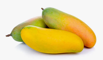 YELLOW BANANA MANGO  Fruit plants