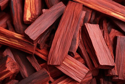 Rare Red Sandalwood plant / Lal Chandan Plant