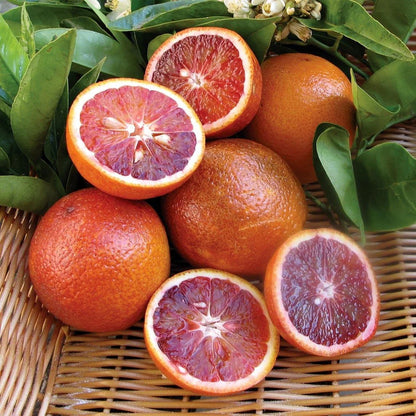 Blood Orange Fruits Plants