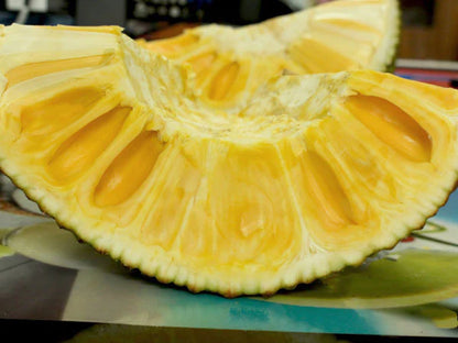 Seedless Jack Fruit Plants