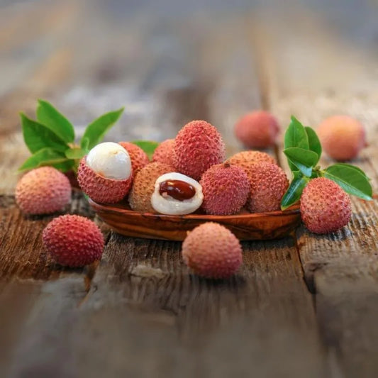 Litchi Fruit Plant (Air Layered)